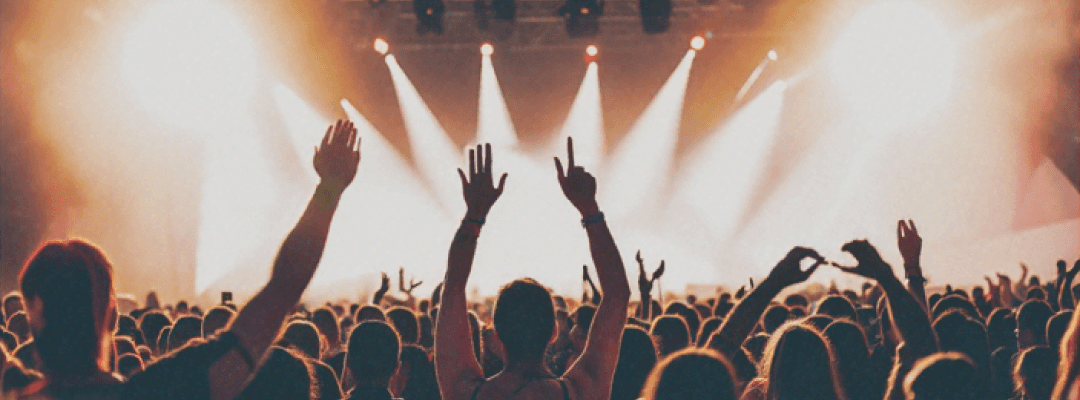 A crowd at a music festival