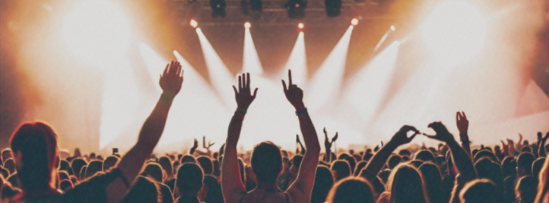 A crowd at a music festival